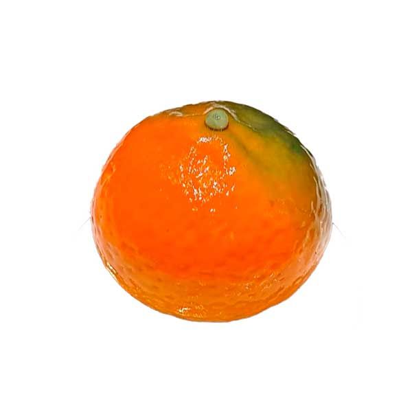 Mandarina-pasteler&iacute;a de Sant Just, Barcelona